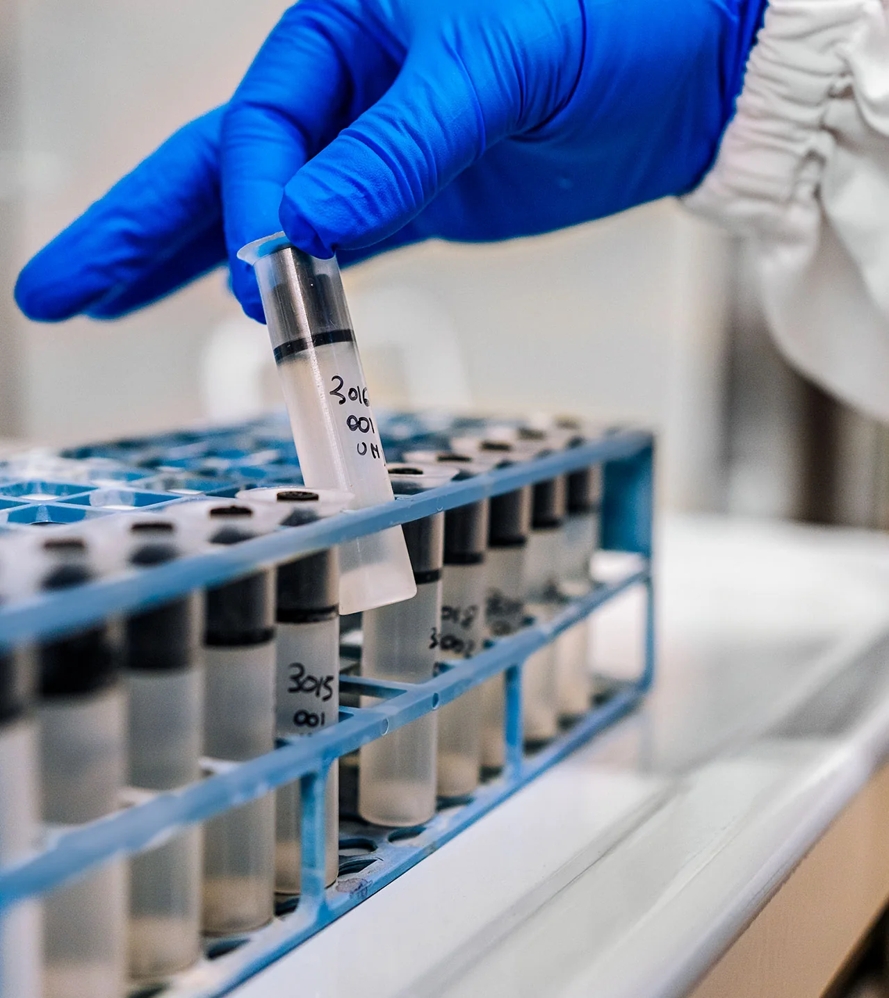 Attività di analisi nel laboratorio PPT