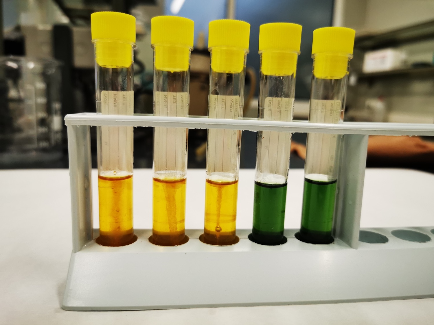 Attività di campionamento per analisi HACCP